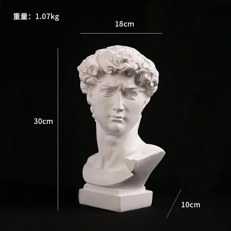 David Head Bust Statue, Resin Renaissance Sculpture Home Decor