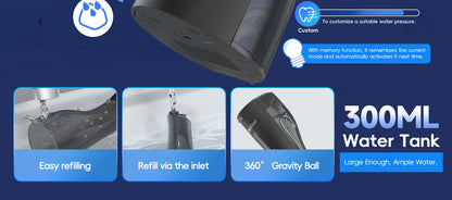 Cordless Rechargeable Water Flosser with 4 Nozzles