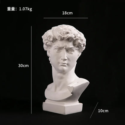 David Head Bust Statue, Resin Renaissance Sculpture Home Decor