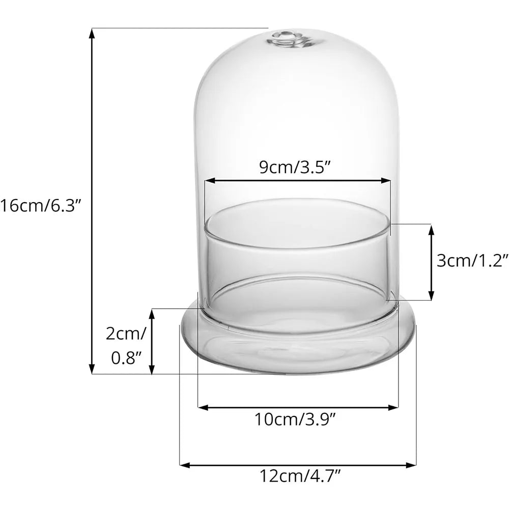 Glass Cloche Dome with Base, Clear Bell Jar Terrarium Display