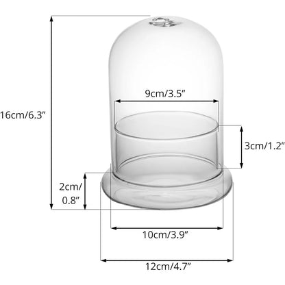 Glass Cloche Dome with Base, Clear Bell Jar Terrarium Display