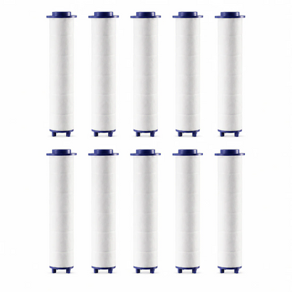 5-Mode Filtered High-Pressure Shower Head