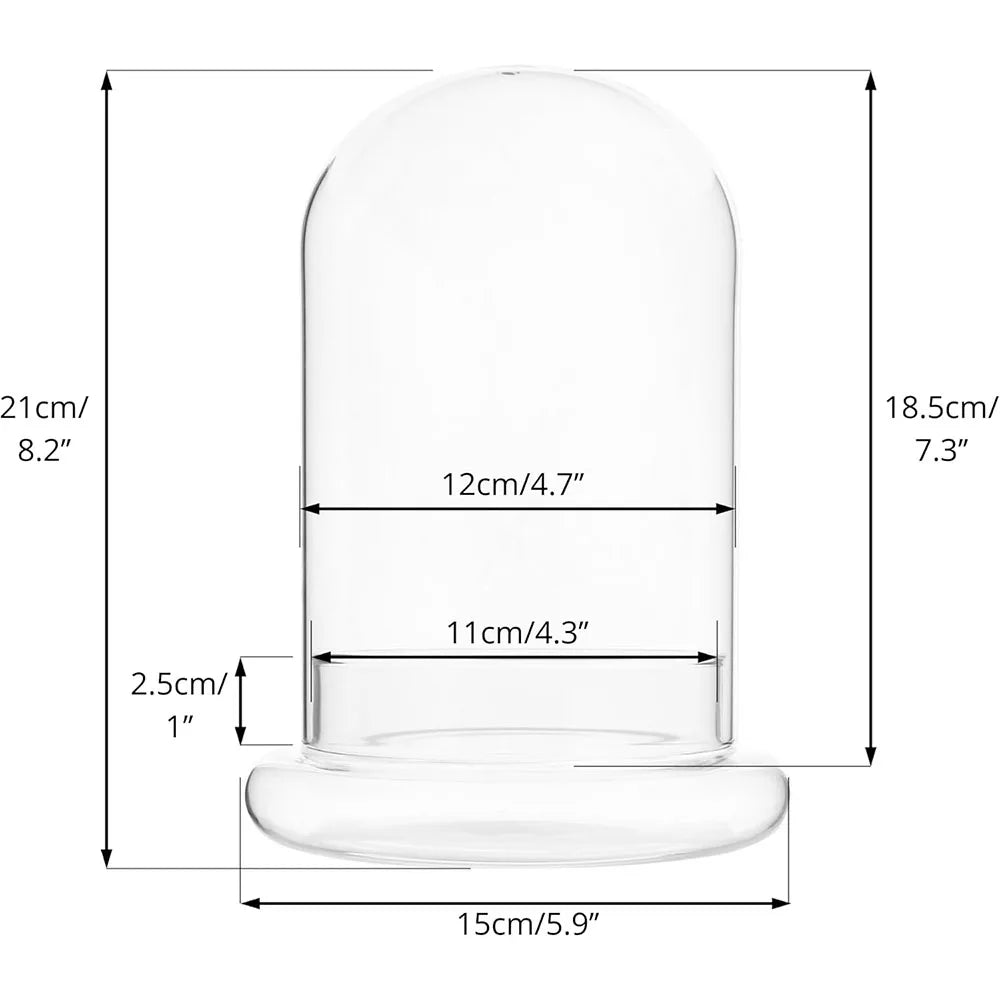 Glass Cloche Dome with Base, Clear Bell Jar Terrarium Display