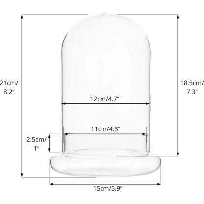 Glass Cloche Dome with Base, Clear Bell Jar Terrarium Display