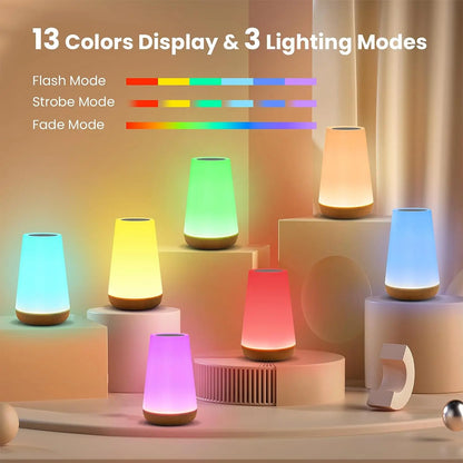 Touch Night Lamp, 13 Color Rechargeable Bedside Light